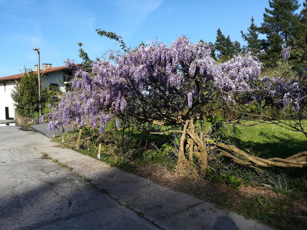 Casa Rural Miamendi Larrabetzu Exteriér fotografie